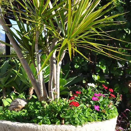 Casa Silca (adults Only)