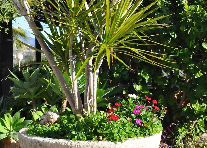 Casa Silca (adults Only)